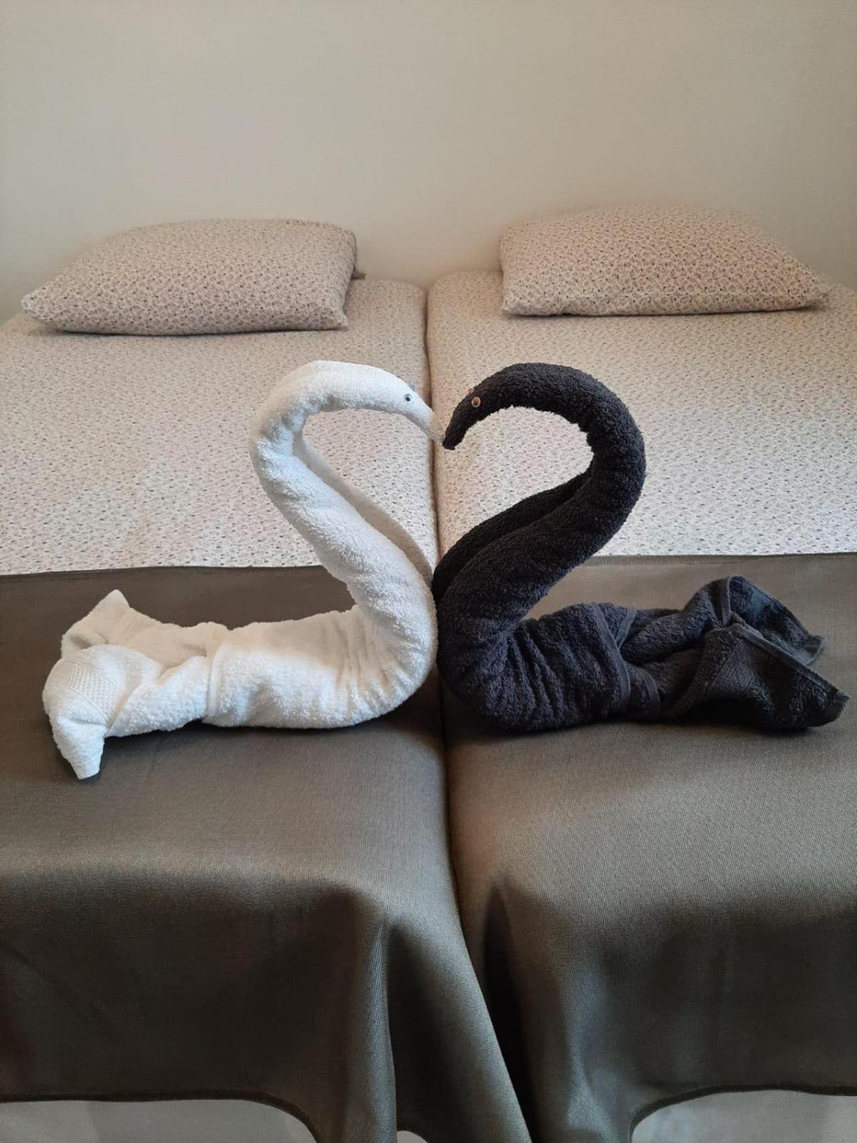 Azyl Otel Legnica Dış mekan fotoğraf